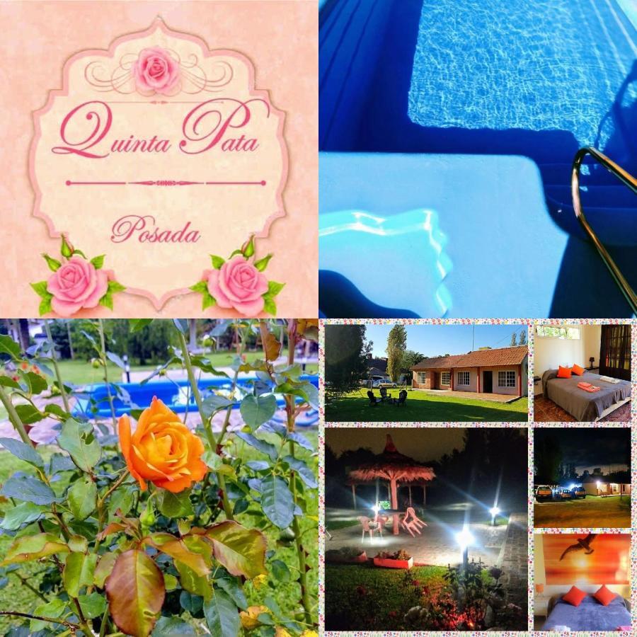 Posada Quinta Pata Ezeiza Dış mekan fotoğraf